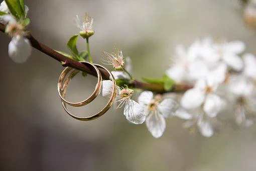 Lire la suite à propos de l’article Organisation mariage « thème champêtre » du 5 août 2023